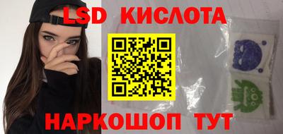 шишки Можга