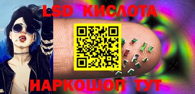 шишки Можга