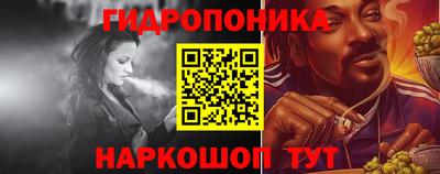 шишки Можга