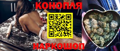 шишки Можга